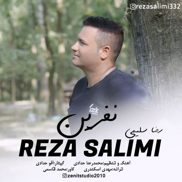 رضا سلیمی نفرین